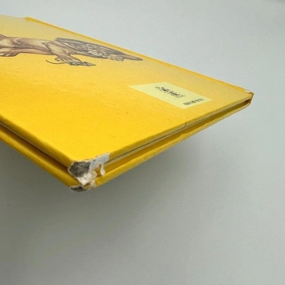 AESOP'S FABLES Hardcover by‎ Lornie Leetie-Hodge 1985 Hamlyn Publishing